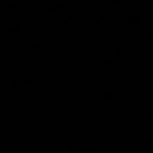 Meet your Posher, Hector